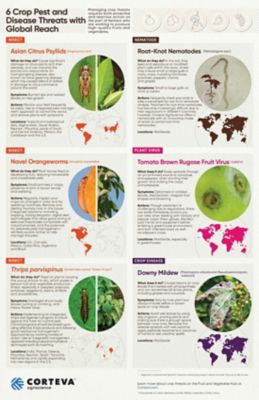 Tracking Pest and Disease Threats infographic
